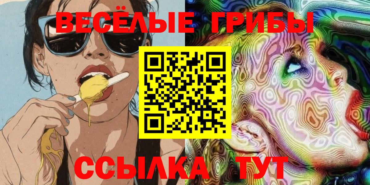 Псилоцибиновые грибы ЛСД Новошахтинск